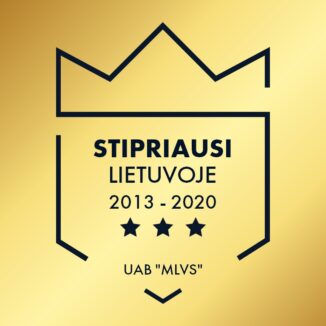 Stipriausi Lietuvoje 2013-2020